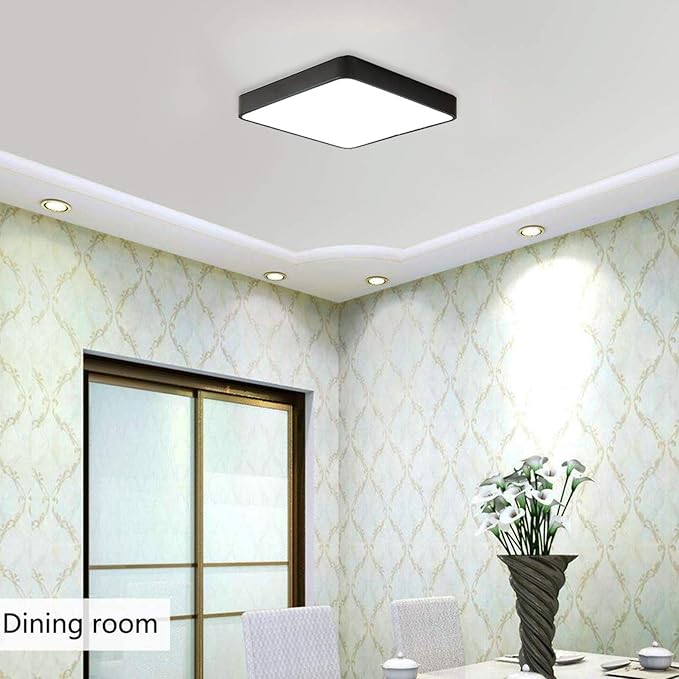Ganeed LED Ceiling Light Flush Mount,24W 12-Inch Modern Ceiling Lamp Fixture Square,6500K Cool White Energy Saving Lighting Fixture for Living Bathroom Dining Room,Black