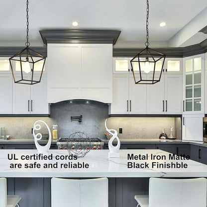 Kitchen Island Light RC Ceiling Light Fixture 1-Light Hanging Pendant Light for Kitchen Island Chandelier, Metal Cage Entryway Fixture with Adjustable Chain, Vintage Industrial
