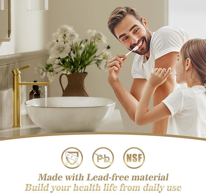 Phiestina 1 Hole Tall Bathroom Vessel Sink Faucet, Brushed Gold Single Hole Single Handle Vanity Faucet, with Pop Up Drain and Water Supply Line, FH02-BG-V