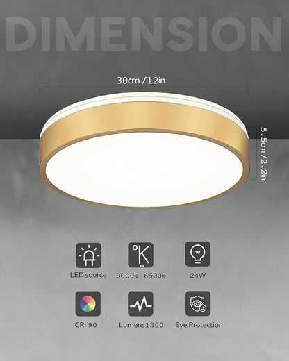 Ken & Ricky 12 Inch Brushed Gold Flush Mount Ceiling Light,Round Flat Led Ceiling Light Dimmable,Close to Ceiling Light Fixtures for Kitchen Bathroom Bedroom Hallway 5CCT 24W 1PK