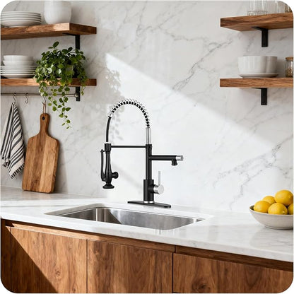 Kitchen Faucet with Pull Down Sprayer - Brushed Nickel Single Handle Commercial Kitchen Faucets, 2-Spout Stainless Steel Spring Pull Out Kitchen Sink Faucet 1/3 Hole with Deck Plate