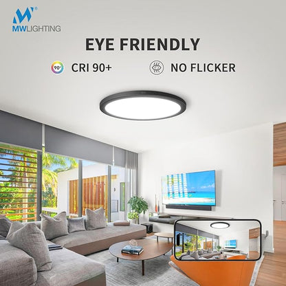 mw LED Flush Mount Ceiling Lights, 9 Inch Round Black Ceiling Light, 20W 120V 5CCT 2700/3000/3500/4000/5000K, Dimmable Slim Flush Mount Light, Close to Ceiling Light Fixtures for Bedroom, Hallway