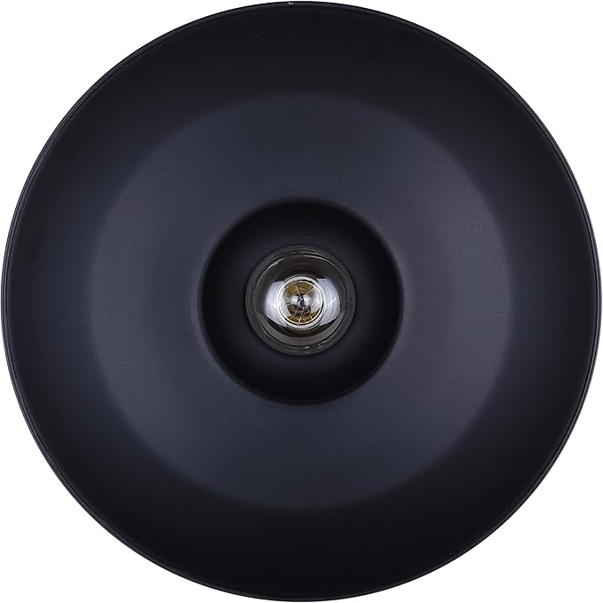 Canarm Valec 1-Light Outdoor Ceiling Light, 14-Inch Black Flush Mount Durable Weather-Resistant Lighting for Porch, Garage and Entryway