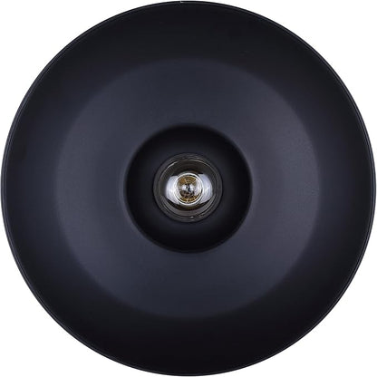 Canarm Valec 1-Light Outdoor Ceiling Light, 14-Inch Black Flush Mount Durable Weather-Resistant Lighting for Porch, Garage and Entryway