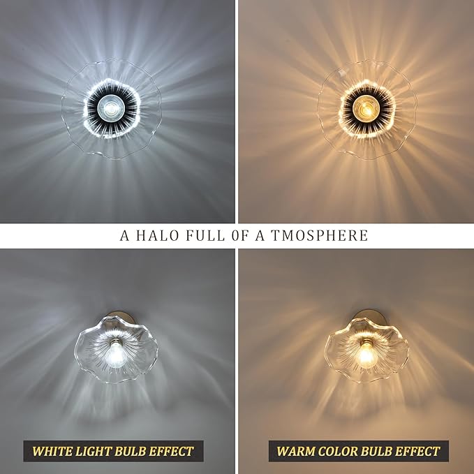 Shenmoyl Semi Flush Mount Light, Black Hallway Vintage Fixture With Clear Lotus Glass, 4.72" Base Modern Ceiling Light for Bathroom Porch Kitchen Bedroom