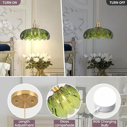 Battery Operated Pendant Light,Vintage Light Fixtures RGB Rechargeable Light Bulb 2500mAh 9.8in with Remote Control Wireless Adjustable Chandelier for Kitchen Island Hallway 1 Light