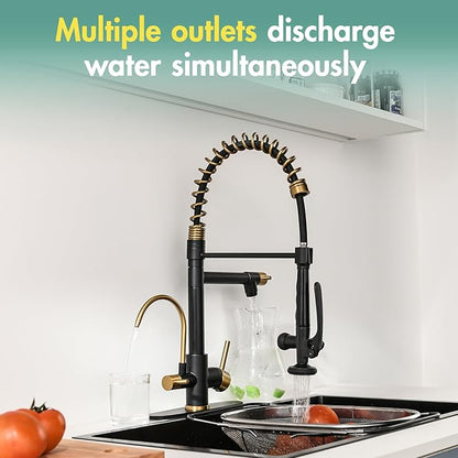 Fapully Commercial Kitchen Faucet with Pull Down Sprayer and Water Filter, Matte Black&Brushed Gold 3 in 1 Kitchen Faucets with Drinking Water Faucet for Kitchen Sink