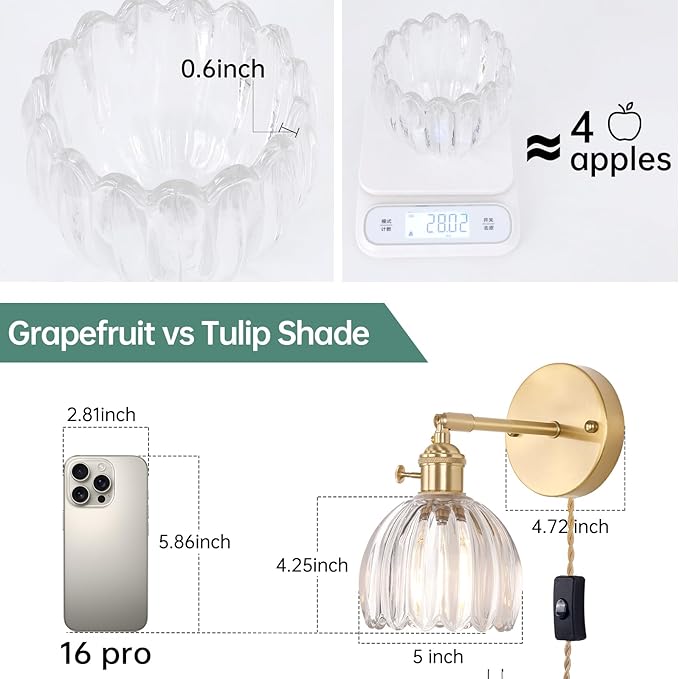 Shenmoyl Plug in Wall Sconce, Transparent Tulip Glass Lampshade Wall Light Plugin Corded for Bedside Bedroom Doorway, 2 Pack