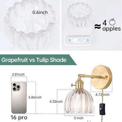 Shenmoyl Plug in Wall Sconce, Transparent Tulip Glass Lampshade Wall Light Plugin Corded for Bedside Bedroom Doorway, 2 Pack