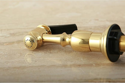 Kingston Brass Gourmetier KBSPR2 Kitchen Faucet Sprayer with Hose, Polished Brass