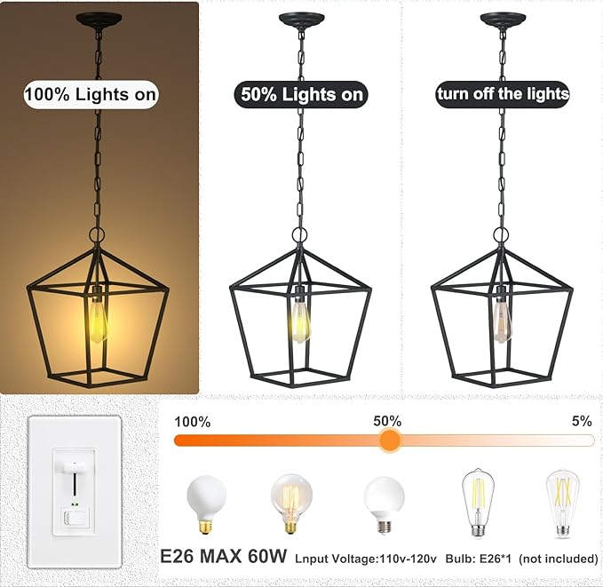Kitchen Island Light RC Ceiling Light Fixture 1-Light Hanging Pendant Light for Kitchen Island Chandelier, Metal Cage Entryway Fixture with Adjustable Chain, Vintage Industrial
