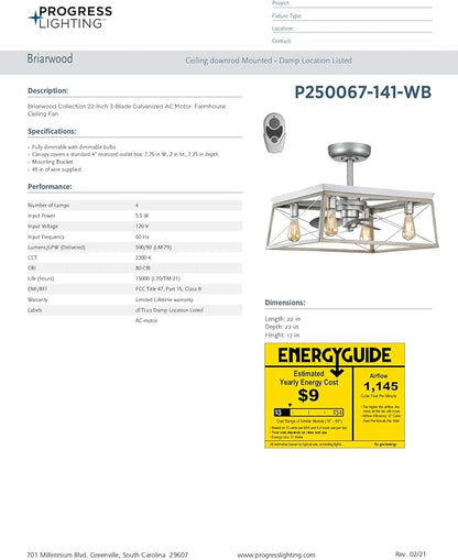 Briarwood Collection 22-Inch 3-Blade AC Motor Farmhouse Ceiling Fan Galvanized