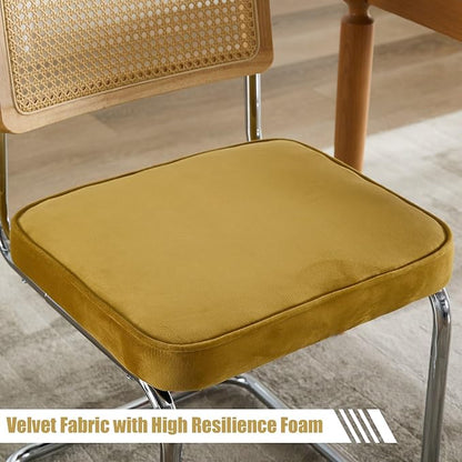 Rattan Back Dining Chairs Set of 2, Breuer Design Modern Upholstered Dining Room Chairs with Steel Frame for Dining Room, Kitchen Island,Velvet(Gold)