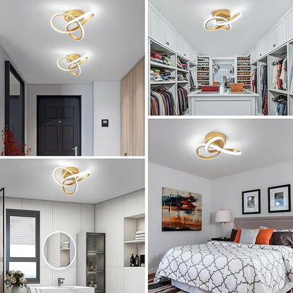 EIDISUNY Modern LED Ceiling Light,25cm 22W Flower Shape Gold LED Ceiling Lights, 6000K Cool White Light Lamp, Modern Ceiling Lights for Living Room, Bedroom, Kitchen, Hallway, Office - Brushed Gold