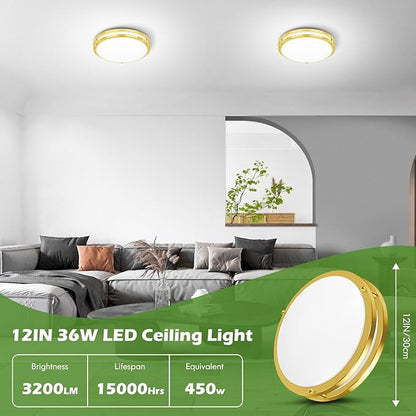 GoBright 2-Pack Gold Flush Mount LED Ceiling Light Fixture, 12IN 2700K/3000K/3500K/4000K/5000K Adjustable Ceiling Lights, 3600lm Super Bright Dimmable Lighting for Bedroom Hallway Kitchen