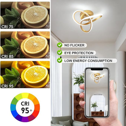 EIDISUNY Modern LED Ceiling Light,25cm 22W Flower Shape Gold LED Ceiling Lights, 6000K Cool White Light Lamp, Modern Ceiling Lights for Living Room, Bedroom, Kitchen, Hallway, Office - Brushed Gold