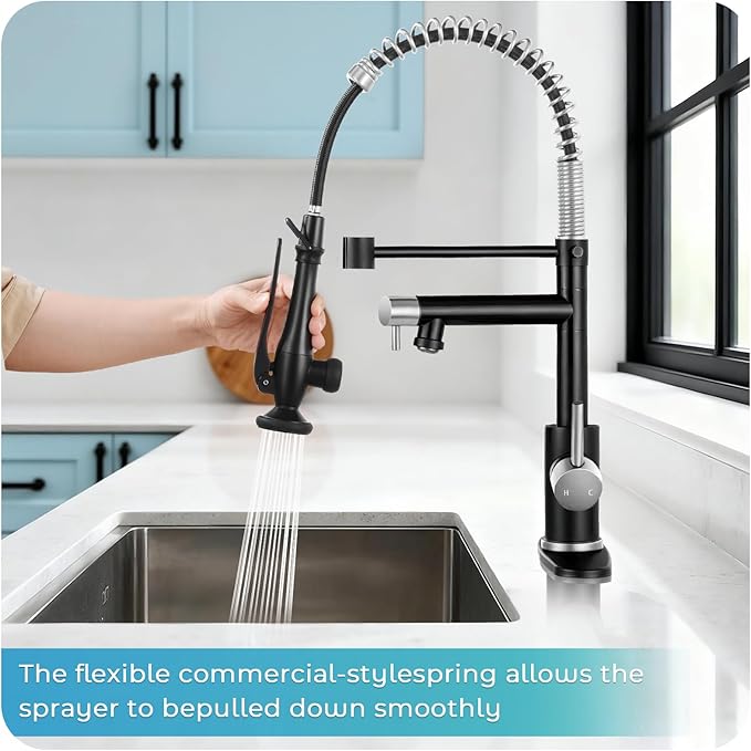 Kitchen Faucet with Pull Down Sprayer - Brushed Nickel Single Handle Commercial Kitchen Faucets, 2-Spout Stainless Steel Spring Pull Out Kitchen Sink Faucet 1/3 Hole with Deck Plate