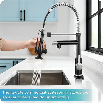 Kitchen Faucet with Pull Down Sprayer - Brushed Nickel Single Handle Commercial Kitchen Faucets, 2-Spout Stainless Steel Spring Pull Out Kitchen Sink Faucet 1/3 Hole with Deck Plate