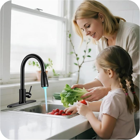 LED Kitchen Faucet with Pull Down Sprayer - Matte Black Single Handle Kitchen Faucets, High Arc Stainless Steel Pull Out Kitchen Sink Faucet with Deck for RV Laundry Farmhouse Bar