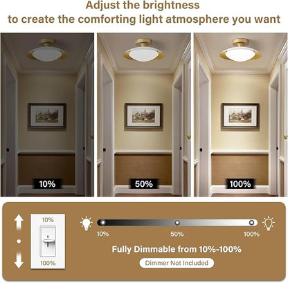 Small Dimmable Mid Century Modern Ceiling Light,5CCT LED White Gold Semi Flush Mount Ceiling Lamp,for Hallway Entryway Bedroom Laundry Room Kitchen Light Fixture 2700K-6000K,11.81 in
