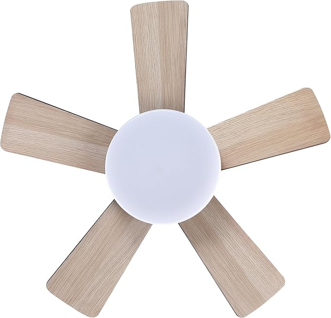 24" Mini Flush Mount Ceiling Fan with Light and Remote, 5-Blade Small Ceiling Fan for Bedroom Kitchen Office, Reversible AC Motor, Hugger Low Profile Fan with 3000K LED Light，Antique Brass