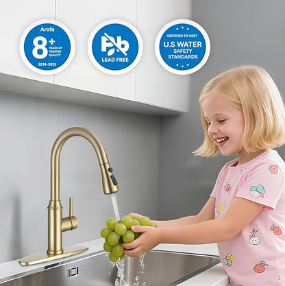 Gold Kitchen Faucet with Sprayer,Single Handle Kitchen Sink Faucet with Pull Out Sprayer, Champagne Bronze, Arofa Brushed Gold Brass Faucets for RV/Outdoor/Bathroom Sink