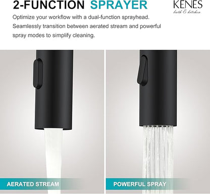KENES Pull Down Bathroom Faucet with Sprayer, Matte Black Single Handle Bathroom Sink Faucet with Pull Out Sprayer, Vanity Bar Faucet with Pop Up Drain & Deck Plate, KE-9065B-2