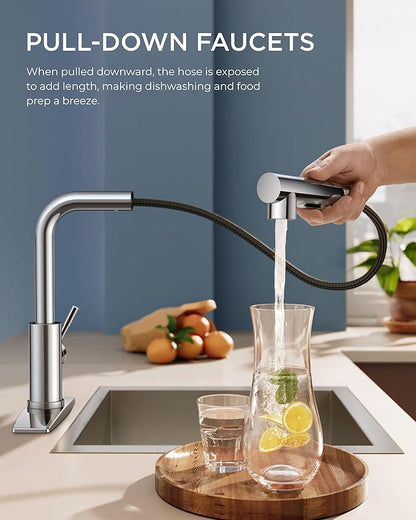 FORIOUS Kitchen Faucets with Pull Down Sprayer, Chrome Stainless Steel Single Handle Classic Pull Out Sink Faucet for Farmhouse Laundry RV Bar, with Deck Plate for 1 or 3 Holes