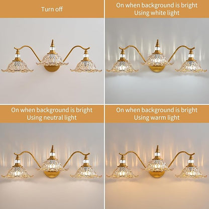 Vintage Bathroom Vanity Light Fixtures - 3 Light Antique Brass Bathroom Lights Fixture Over Mirror with Amber Flower Glass,Retro Brushed Gold Bronze Wall-Mounted Vanity Lighting for Powder Room