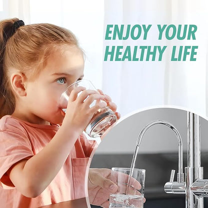 Fapully 3 in 1 Kitchen Faucet with Water Filler and Pull Down Sprayer, Chrome Commercial Kitchen Sink Faucet with Drinking Water Faucet for 1 or 3 Holes Sink