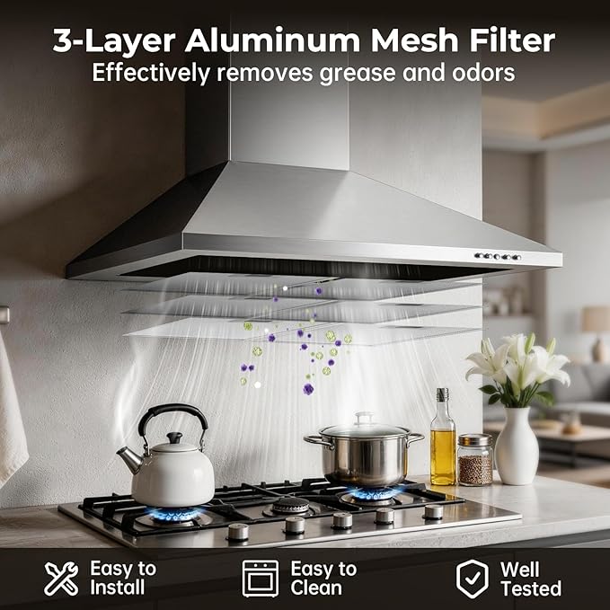 24 Inch Wall Mount Range Hood, Stainless Steel Range Hood 450 CFM, Ducted/Ductless Convertible Kitchen Hood with Push Button Control, 3 Fan Speed, 2 Pcs Mesh Filters