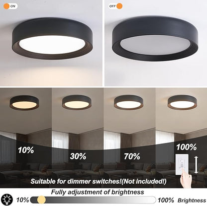 15.75 Inch Dimmable Black Flush Mount LED Ceiling Light,Modern Round Close to Ceiling Lighting for Living Room,Bedroom,Kitchen,Laundry Room