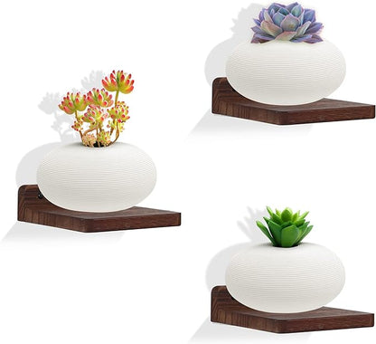 Small Floating Shelf,5x5 Inch Dark Walnut,Set of 3 Small Wall Shelves for Bedroom Living Room Bathroom Kitchen Decor