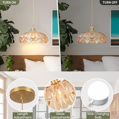 Battery Operated Pendant Light,Vintage Light Fixtures 2500mAh 9.8in RGB Light Bulb with Remote Control Wireless Adjustable Rechargeable Chandelier for Kitchen Island Hallway 1Light
