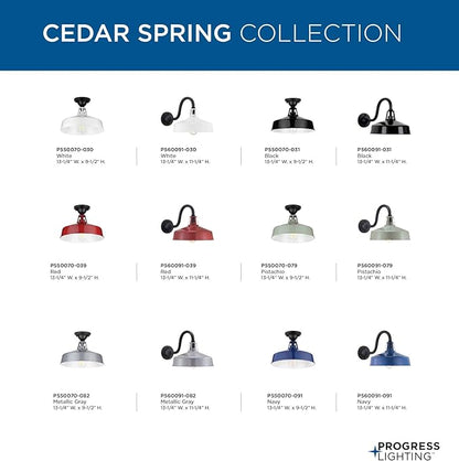 Progress Lighting Cedar Springs Collection 1-Light Farmhouse Outdoor Extra-Large Wall Lantern Light White