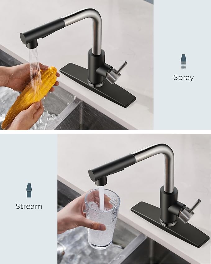 FORIOUS Kitchen Faucets with Pull Down Sprayer, Stainless Steel Single Handle Classic Pull Out Sink Faucet for Farmhouse Laundry RV Bar, with Deck Plate for 1 or 3 Holes, Black Brushed