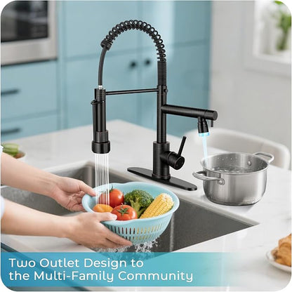 LED Kitchen Faucet with Pull Down Sprayer - ORB Single Handle Commercial Kitchen Faucets, 2-Spout Kitchen Sink Faucet, Stainless Steel Spring Pull Out Sink Faucet 1/3 Hole