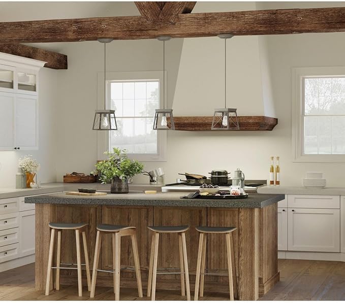 Briarwood Collection 1-Light Coastal Mini-Pendant Light Antique Bronze