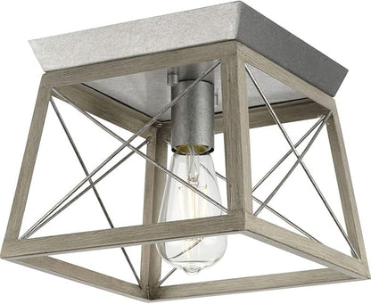 Progress Lighting Briarwood Collection 1-Light Ceiling Light, Flush Mount Ceiling Light Fixture for Interior Kitchen Lights, Hallway, Bedroom, Living Room, 9.5-Inch by 9.5-Inch, Galvanized Finish