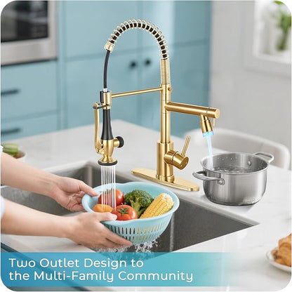 LED Kitchen Faucet with Pull Down Sprayer - Brushed Gold Single Handle Commercial Kitchen Faucets, 2-Spout Stainless Steel Spring Pull Out Kitchen Sink Faucet 1/3 Hole with Deck Plate