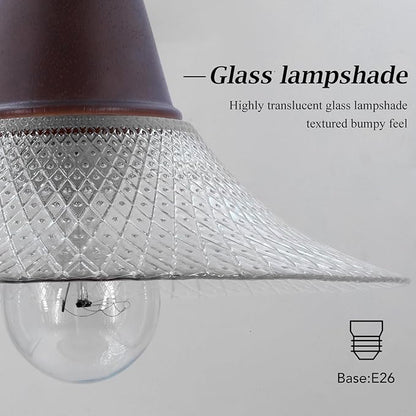 Vintage Farmhouse Glass Pendant Light Fixture 9 Inch Industrial Clear Ceiling Hanging Light with Walnut Wood lamp Holder for Kitchen Island Hallway Bar Dining Room Bedroom Foyer（1 Pack）
