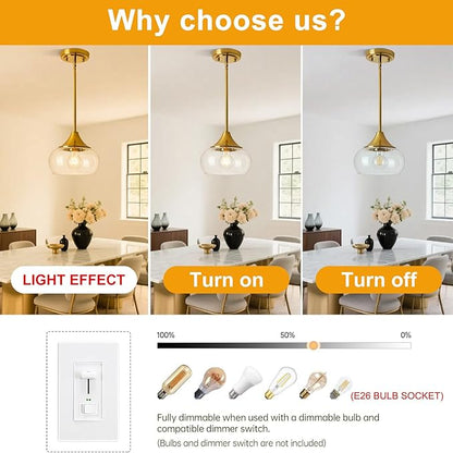 Modern Pendant Lights for Kitchen Island, Gold Pendant Light Fixtures with 8.5" Clear Glass Shade, Industrial Hanging Pendant Lights Fixture for Kitchen Island Dining Room Bedroom Entryway 1 Pack