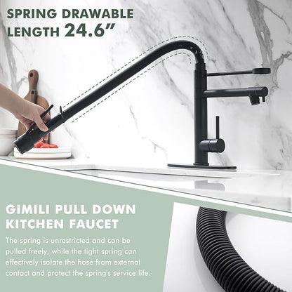 GIMILI Commercial Dual-Spout Black Kitchen Sink Faucet with Pull Down Sprayer