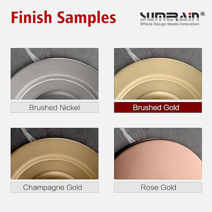 SUMERAIN NSF Certification 100% Lead-Free Kitchen Water Filter Faucet SUS304 Stainless Steel, Brushed Gold Drinking Water Faucet for Kitchen Sink