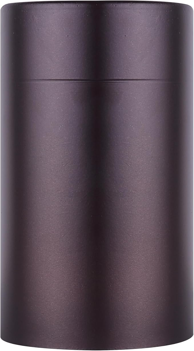 Canarm Nightsky 1-Light Outdoor Lantern, Bronze Wall Light with Easy Install, Dark Sky Approved, Durable Wet-Rated Outdoor Lighting