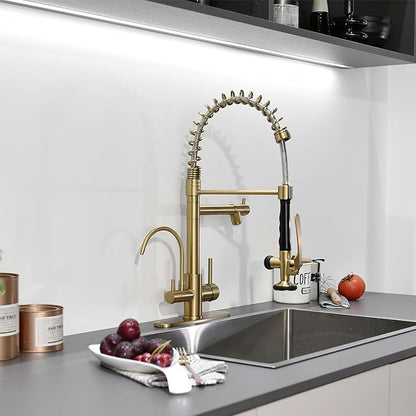 Fapully Brushed Gold Commercial Kitchen Faucet with Pull Down Sprayer and Water Filter,3 in 1 Kitchen Faucets with Drinking Water Faucet