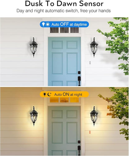 VIANIS Outdoor Lights for House Dusk to Dawn, 2 Pack Porch Lights Outside, Bronze Outdoor Light Fixture, Waterproof Exterior Lighting Fixtures for House, Doorway, Garage, Anti-Rust, Vintage Style