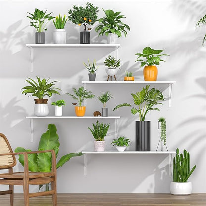 Deep Floating Shelves for Wall Set of 3, 24W x 12 Inch Deep White Floating Shelves, Wide Floating Wall Mounted Shelves for Living Room, Kitchen, Office, Bedroom, Bathroom, Laundry Room