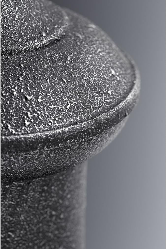 Progress Lighting P5722-71 Brookside Outdoor, 10-Inch Width x 10-3/4-Inch Height, Black