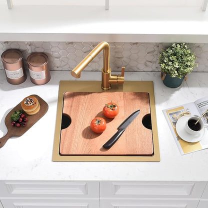 21x20 Inch Drop In Bar Sink - 16 Gauge Gold Stainless Steel Small Kitchen Sink, 10" Deep Single Bowl Workstation Sinks with Accessories for RV, Outdoor Kitchen & Wet Bar